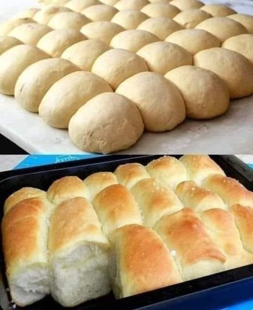 Easy Dinner Rolls