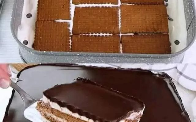 NO BAKE CHOCOLATE CAKE
