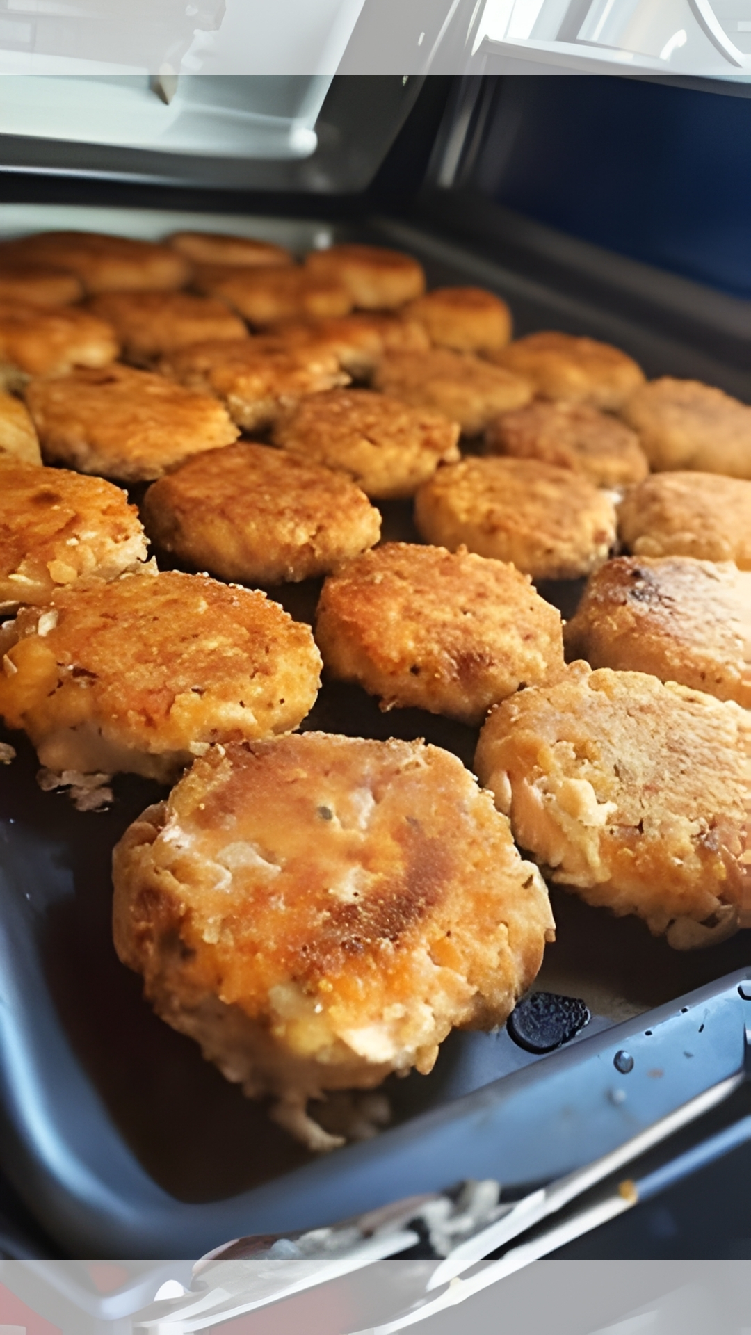 Southern Fried Salmon Patties