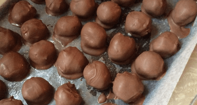 CHOCOLATE COVERED COCONUT CANDY