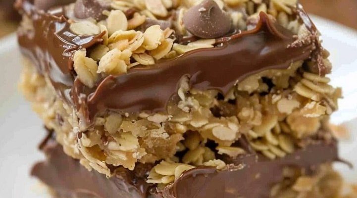 No Bake Chocolate Oat Bars