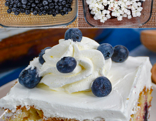 Simple Blueberry Cake