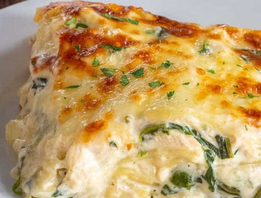 CHICKEN ALFREDO LASAGNA