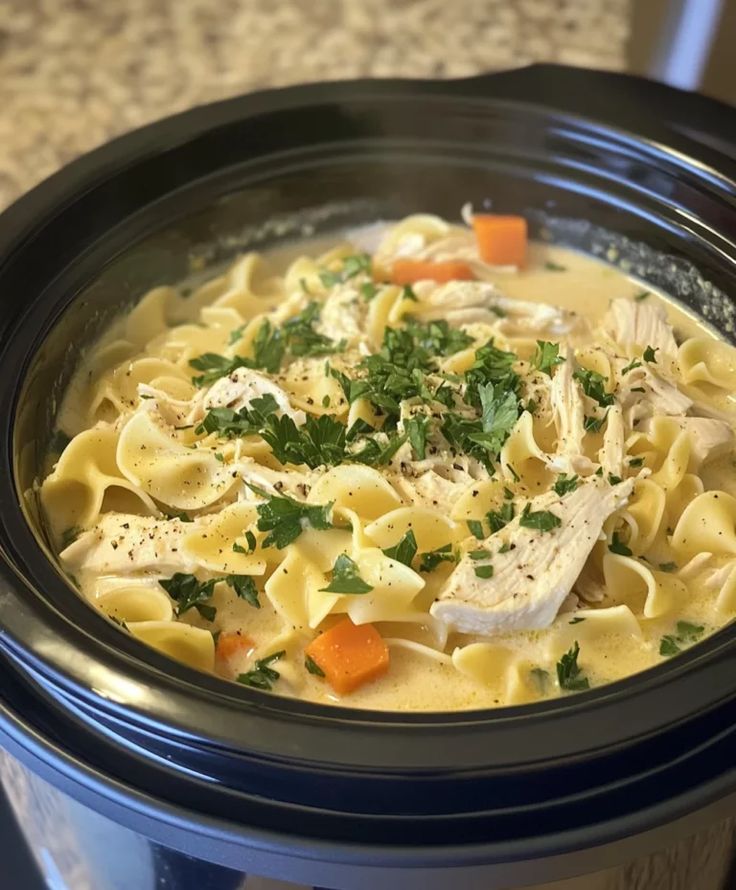 CROCK POT CHICKEN NOODLE SOUP