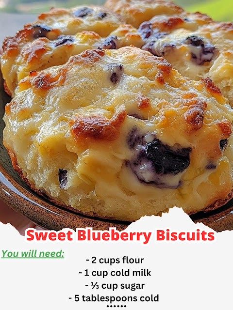 Sweet Blueberry Biscuits
