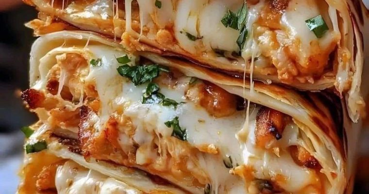 Grilled Chicken Wrap with Fries and Dipping Sauce
