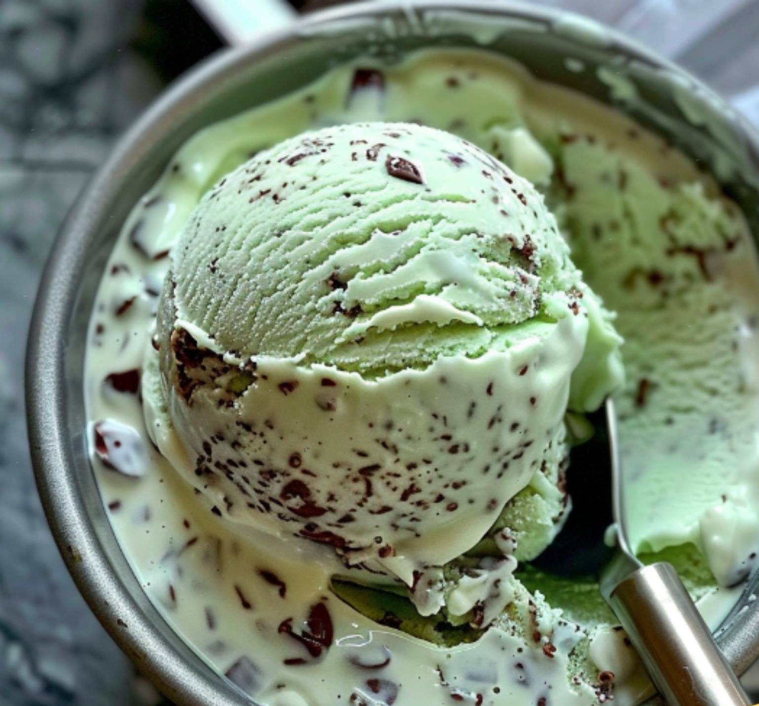 Mint Chocolate Chip Ice Cream