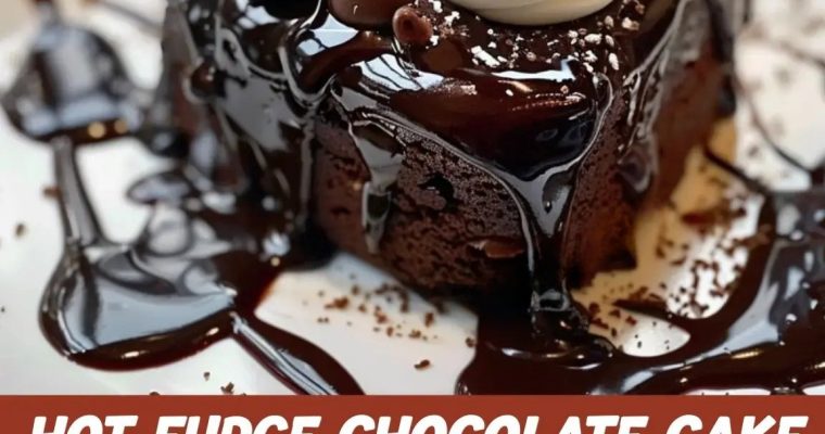 Hot Fudge Chocolate Pudding Cake