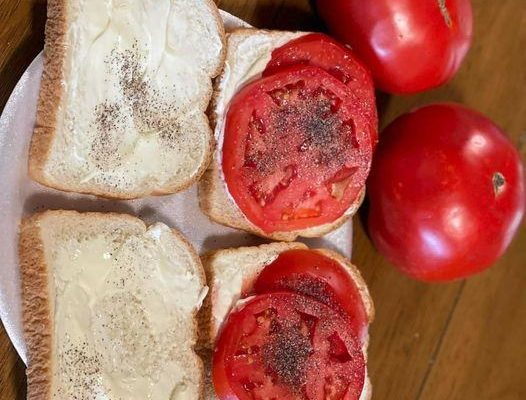 Tomato Sandwiches