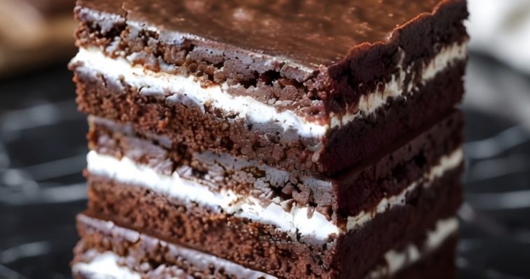Chocolate and Coconut Cake