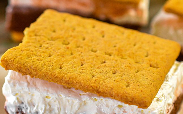 S’mores Ice Cream Sandwiches