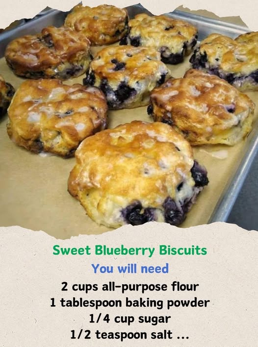 SWEET BLUEBERRY BISCUITS
