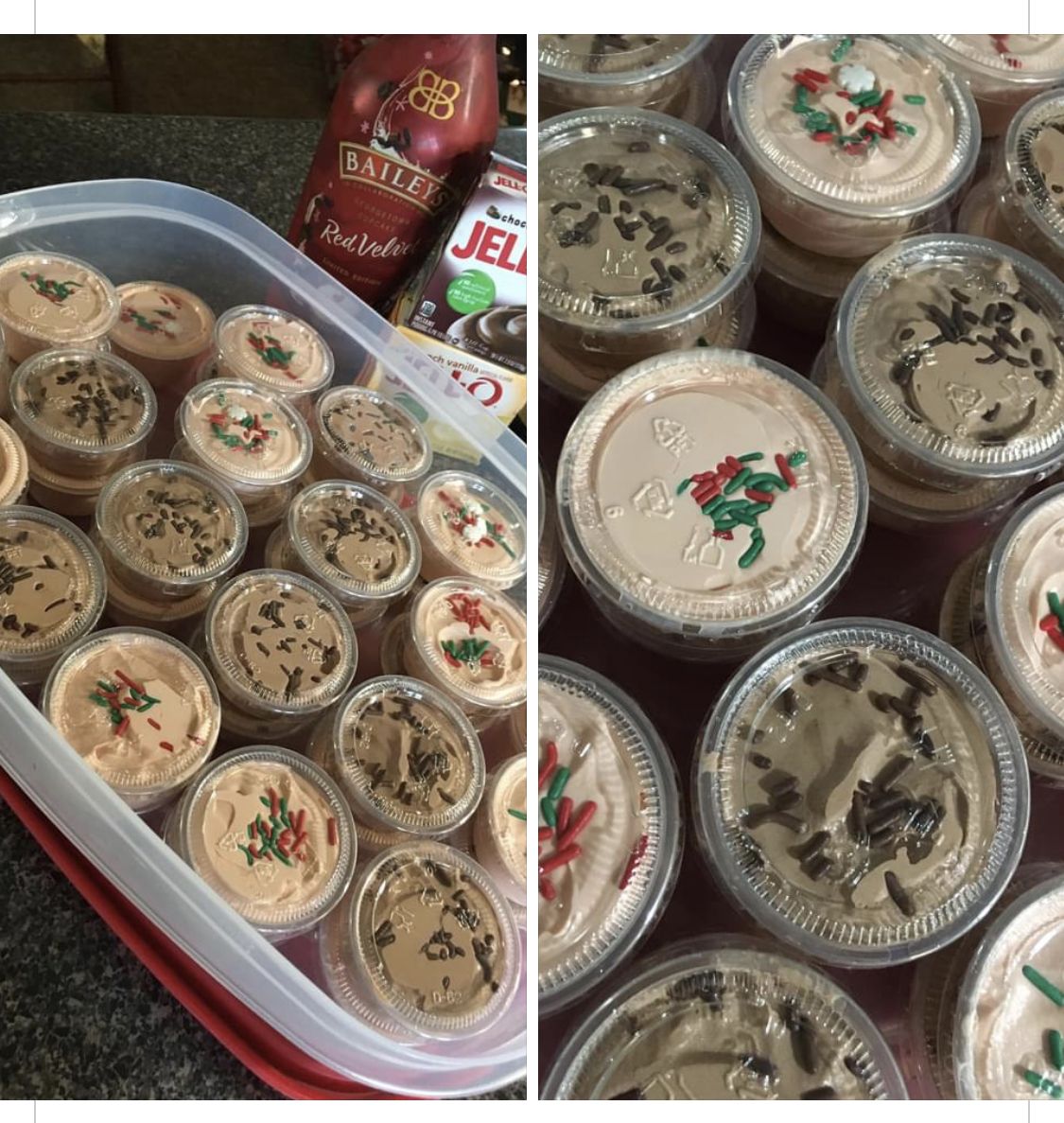 Kahlua and Baileys Pudding Shots