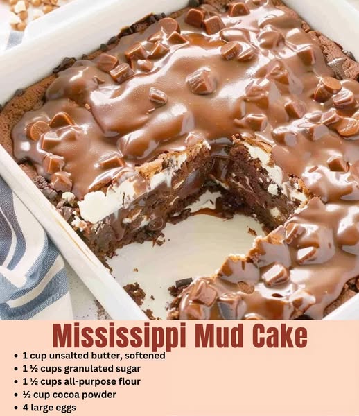 Mississippi Mud Cake