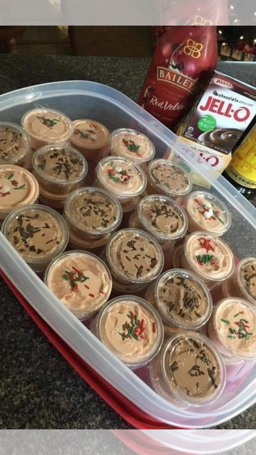 Kahlua and Baileys Pudding Shots