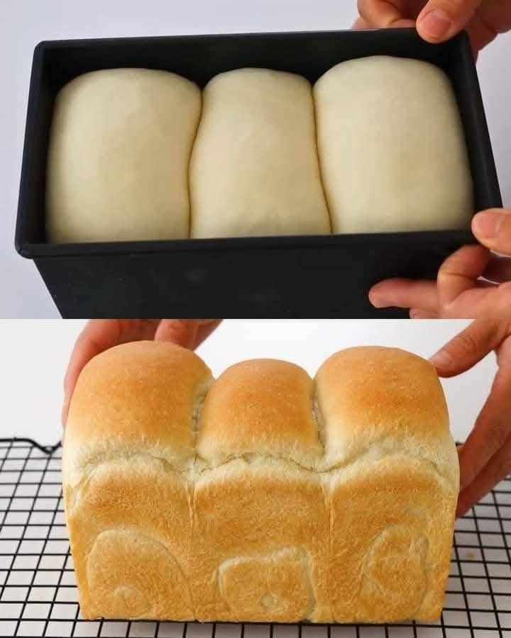 The Easiest and Cheapest Bread Recipe: No Kneading, No Eggs, No Butter!