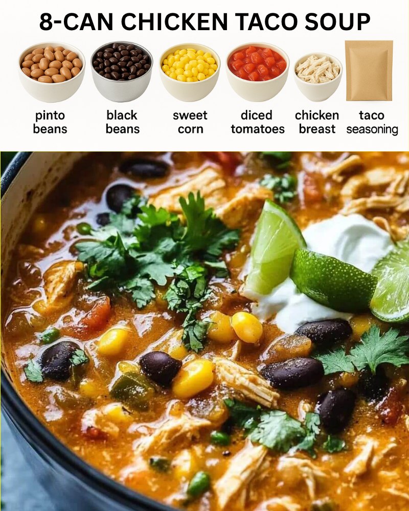 8-CAN CHICKEN TACO SOUP