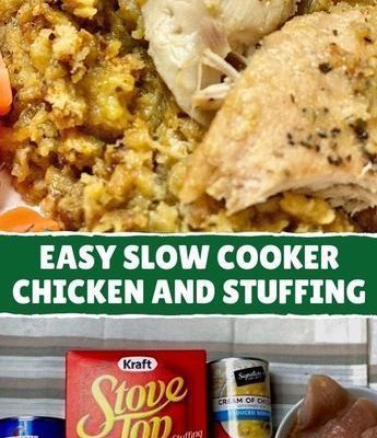 Dump 4 ingredients into a slow cooker. End result is a hearty, tasty chicken and stuffing