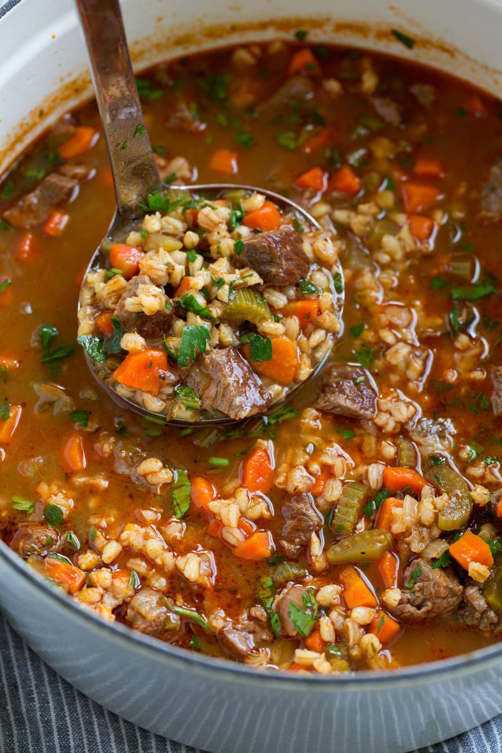 BEEF AND BARLEY SOUP