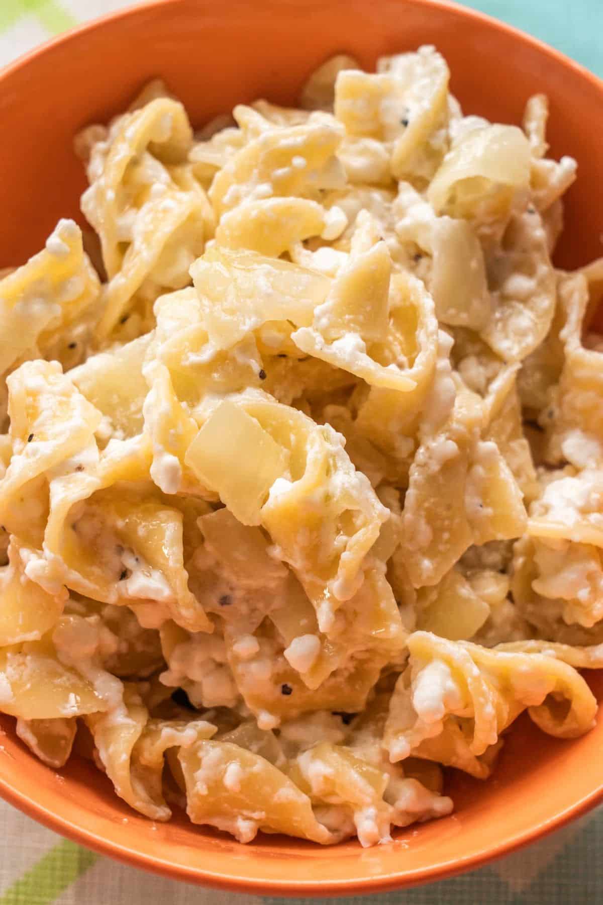 Cottage Cheese and Noodles (Polish noodles)