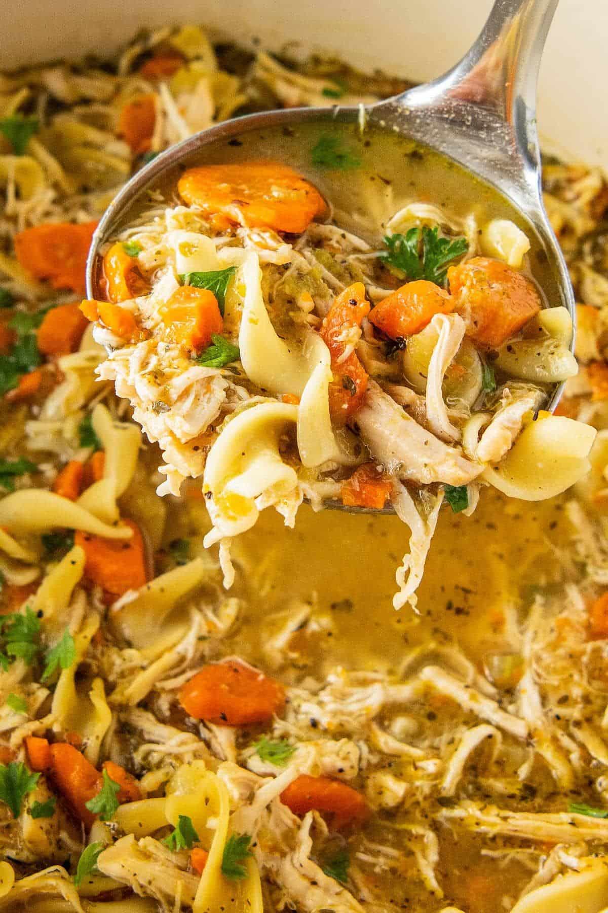 Hearty Chicken Noodle Soup