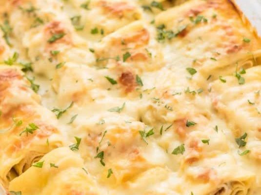 Chicken Alfredo Lasagna Rollups