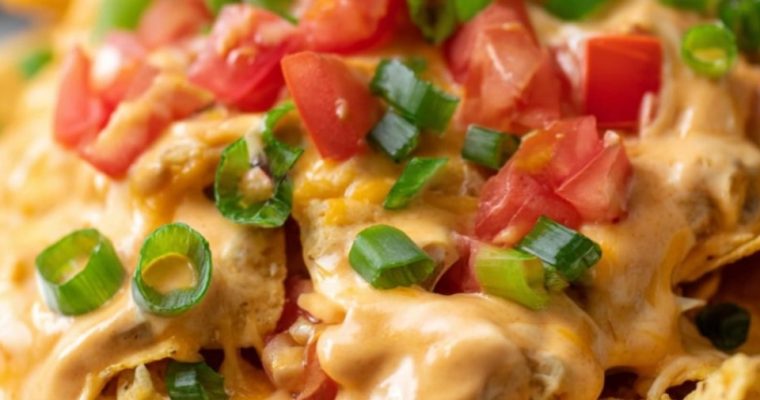 Crock Pot Chicken Nacho Dip