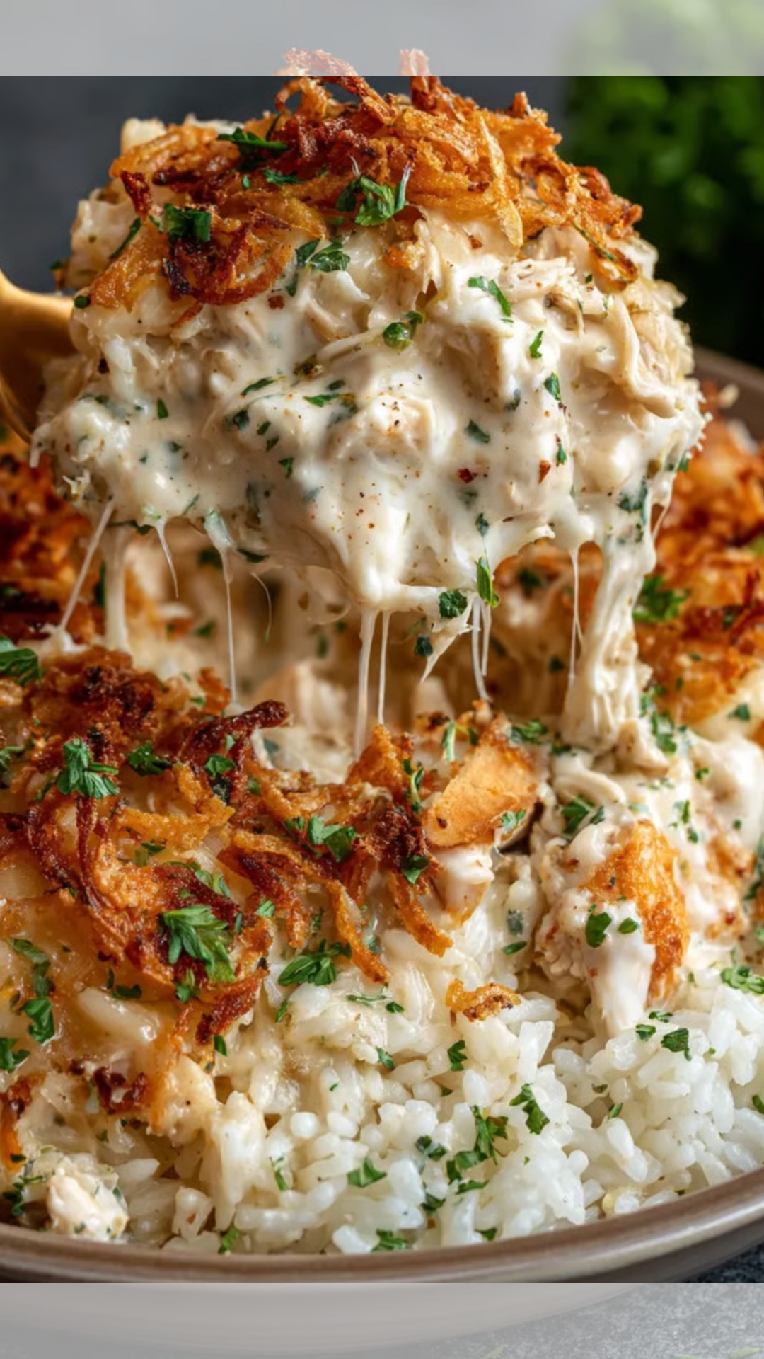 French Onion Chicken Rice