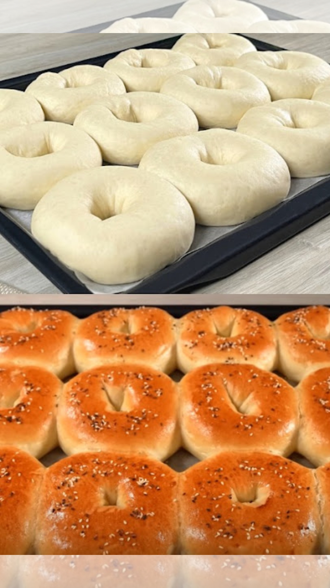 Best Homemade Bread Rolls
