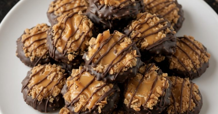 Easy No-Bake Samoa Cookies